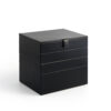 Premium Black Jewelry Organizer